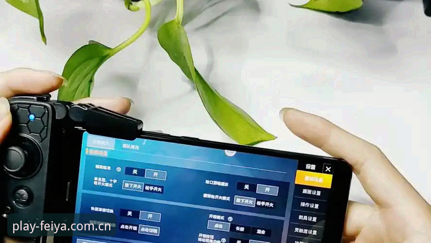 飞亚体育平台A9B3版本安卓下载安装全教程